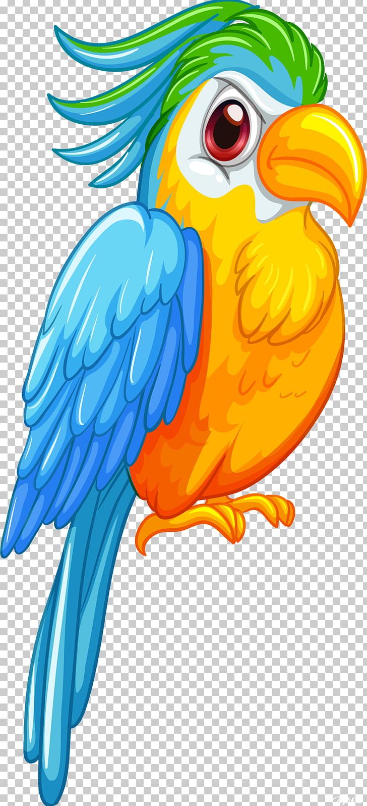 Parrot Bird PNG, Clipart, Animals, Art, Beak, Bird, Blueandyellow Macaw Free PNG Download