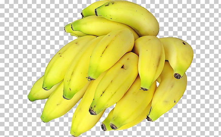 Saba Banana Lady Finger Banana Cooking Banana Musa Balbisiana PNG, Clipart, Banana, Banana Family, Bananas, Cooking Banana, Cooking Plantain Free PNG Download