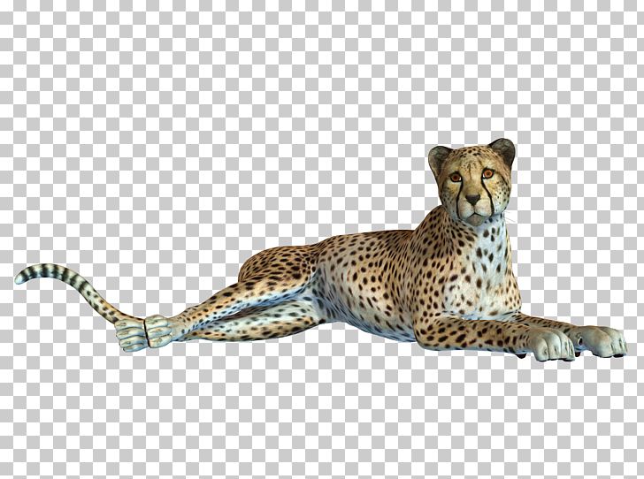 Cheetah Leopard Jaguar Black Panther PNG, Clipart, Animal, Animals, Big Cat, Big Cats, Carnivoran Free PNG Download