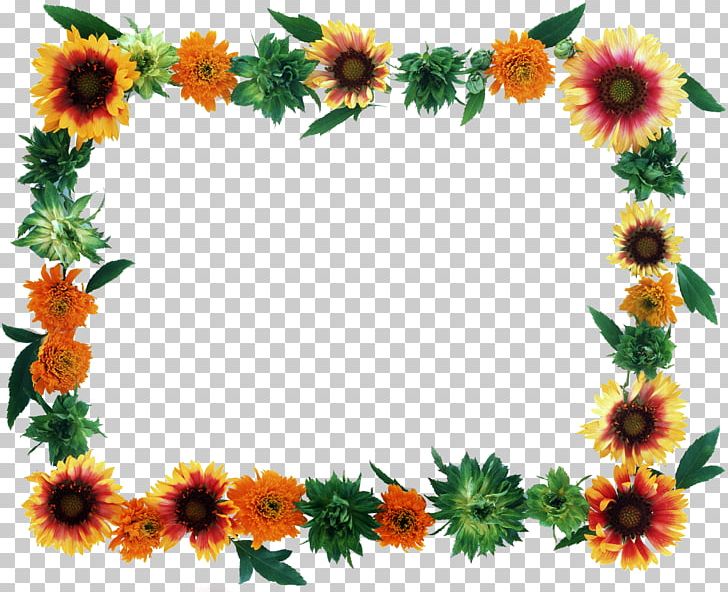 Flower Frames PNG, Clipart, Border Frames, Chrysanthemum, Chrysanths, Common Daisy, Cut Flowers Free PNG Download