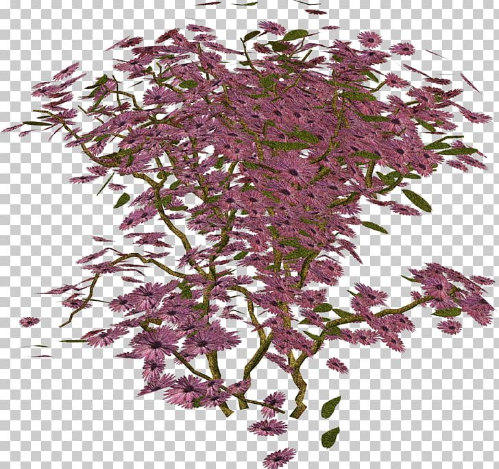 Twig Shrub Herb PNG, Clipart, Branch, Herb, Others, Plant, Purple Free PNG Download