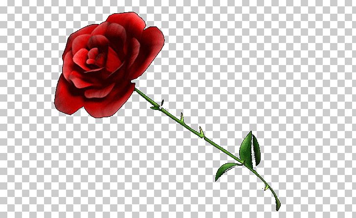 Desktop PNG, Clipart, Bud, Carnation, China Rose, Computer Icons, Cut Flowers Free PNG Download