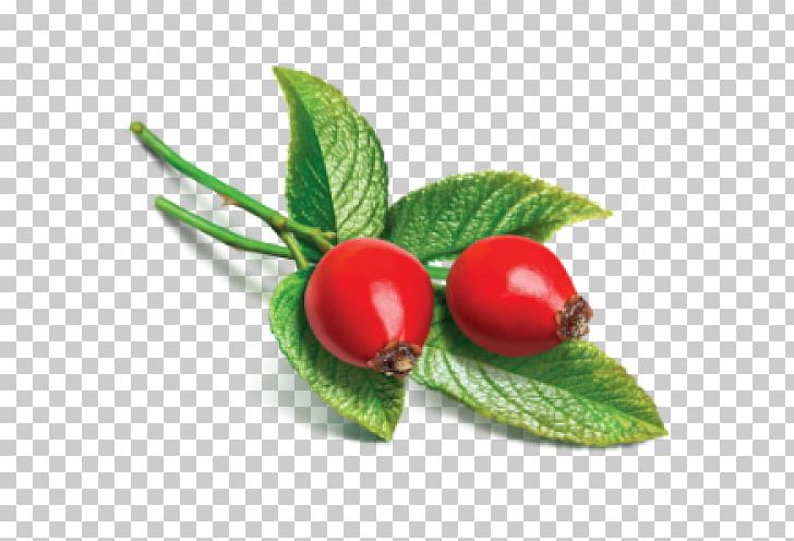 Rose Hip Seed Oil Carrier Oil Essential Oil PNG, Clipart, Berry, Carrier Oil, Cherry, Cosmetics, Cranberry Free PNG Download