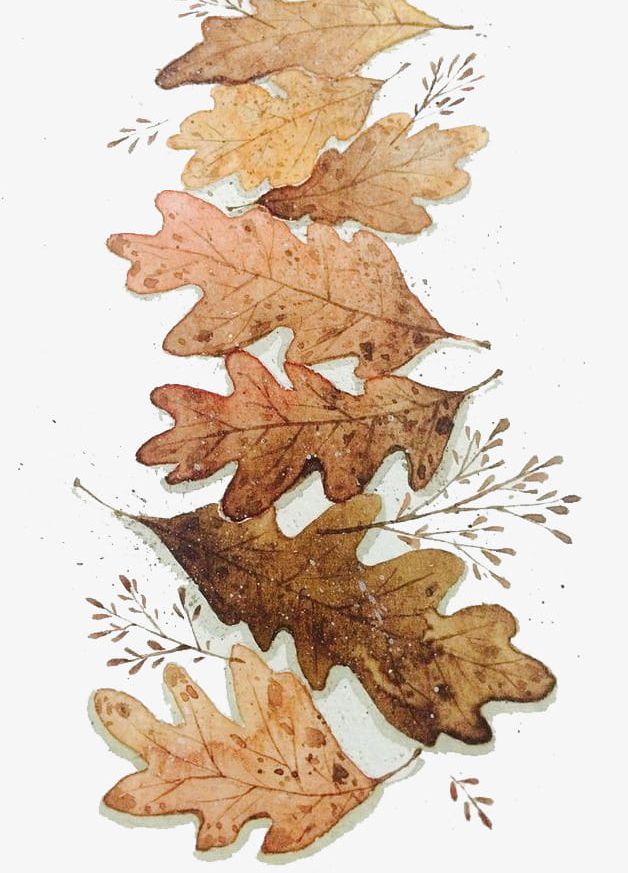 Autumn Leaves PNG, Clipart, Autumn, Autumn Clipart, Autumn Clothes, Beginning, Brown Free PNG Download