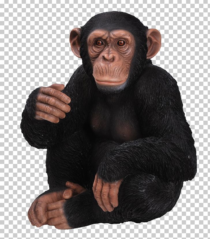 Chimpanzee Gorilla Ape Ornament Sitting PNG, Clipart, Animal, Animals, Ape, Art, Chimpanzee Free PNG Download