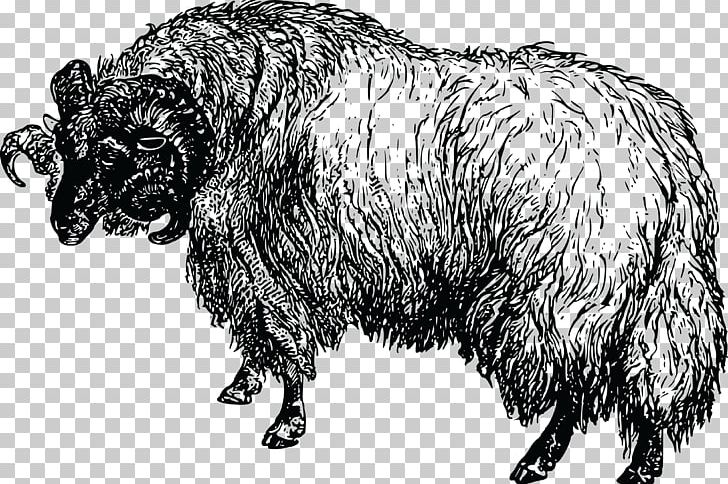 Merino Cattle Goat PNG, Clipart, Animals, Bear, Black And White, Carnivoran, Cattle Free PNG Download