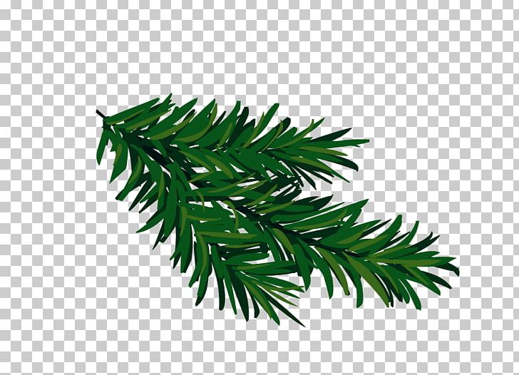 Spruce Fir Tree PNG, Clipart, Artificial Christmas Tree, Branch, Christmas Tree, Conifer, Conifers Free PNG Download