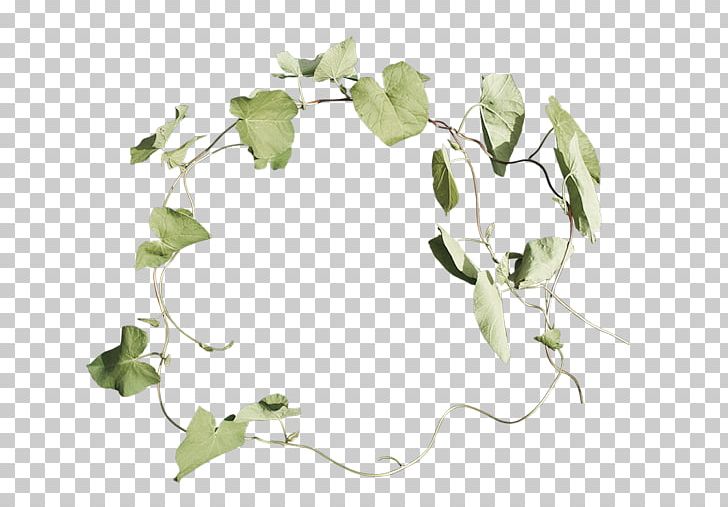 Twig Leaf Flower Floral Design PNG, Clipart, Branch, Flora, Floral Design, Flower, Green Free PNG Download
