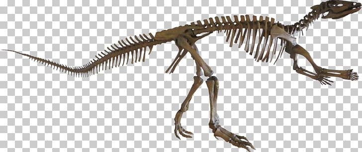Velociraptor Tyrannosaurus Extinction Terrestrial Animal PNG, Clipart, Animal, Animal Figure, Beak, Dinosaur, Extinction Free PNG Download