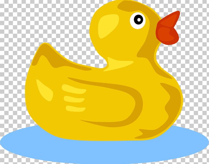 Duck PNG, Clipart, Beak, Bird, Cartoon, Download, Duck Free PNG Download