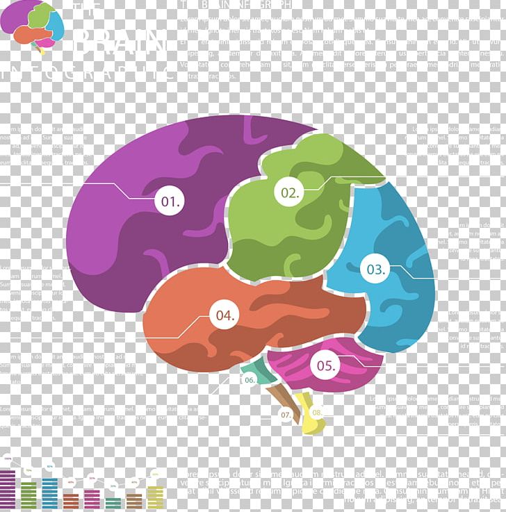 Infographic Brain Agy PNG, Clipart, Area, Brain Vector, Cerebrum, Chart, Color Free PNG Download