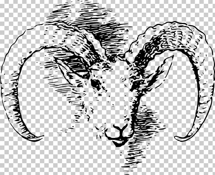 Rocky Mountain Bighorn Sheep Drawing PNG, Clipart, Animals, Artwork, Beak, Bighorn, Bighorn Sheep Free PNG Download