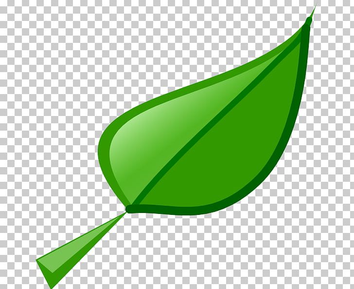 Leaf Others Plant Stem PNG, Clipart, Blog, Download, Drawing, Grass, Green Free PNG Download