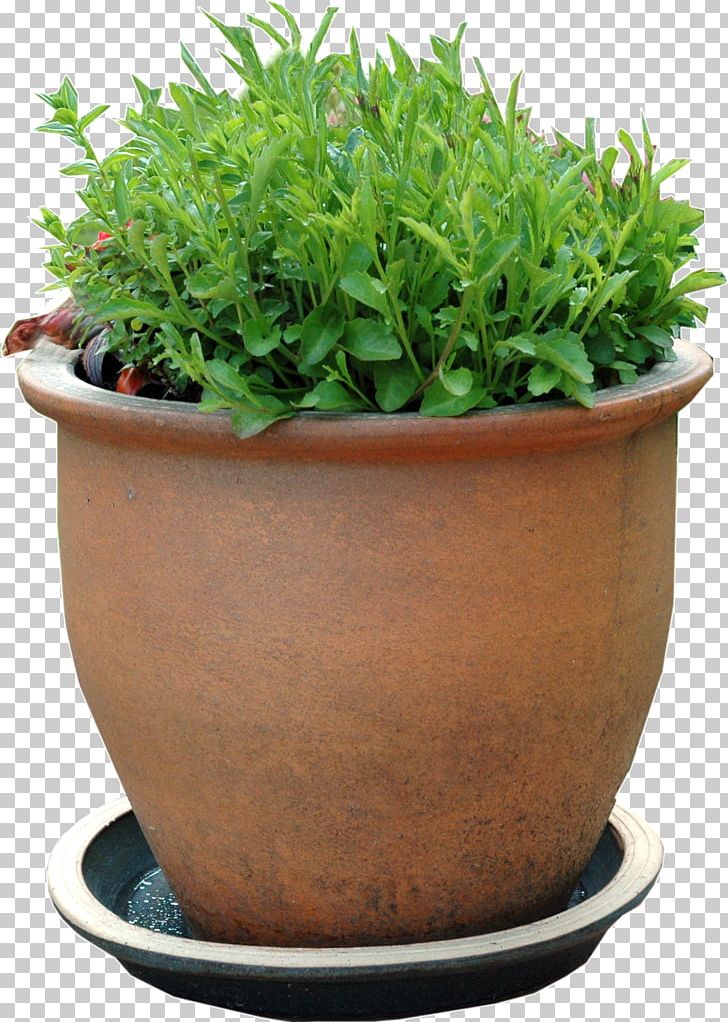 Houseplant Flowerpot Garden Centre PNG, Clipart, Bench, Cut Flowers, Cutting, Fern, Flowerpot Free PNG Download