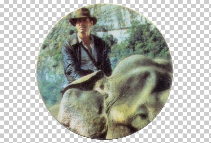 Indiana Jones Film Director Actor Adventure Film PNG, Clipart, Actor, Fauna, Film, Grass, Harrison Ford Free PNG Download