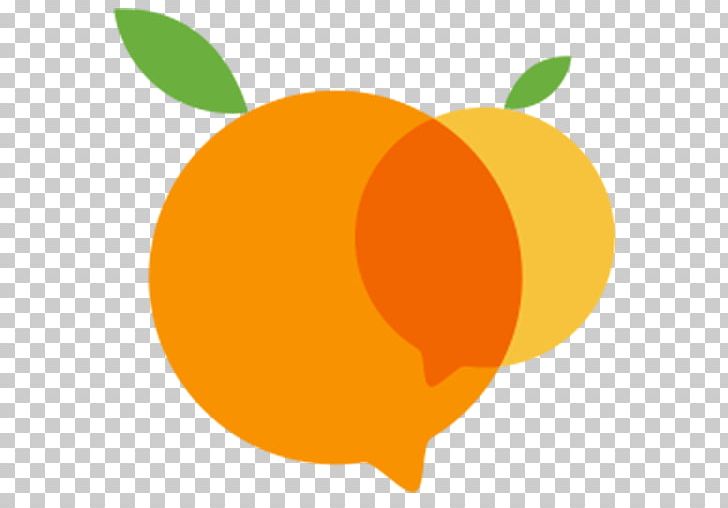 Mandarin Orange Desktop Computer Apple PNG, Clipart, Apple, Citrus, Community, Computer, Computer Wallpaper Free PNG Download