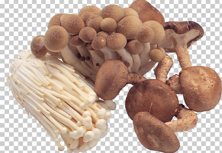 Pantothenic Acid Edible Mushroom B Vitamins PNG, Clipart, B Vitamins, Common Mushroom, Cooking, Eating, Edible Mushroom Free PNG Download