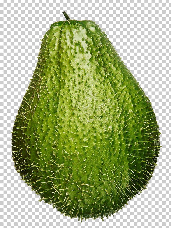 Tropical Fruit Chayote Finger Lime PNG, Clipart, Abstract Shapes, Anan, Bergamot, Child, Falcon Free PNG Download