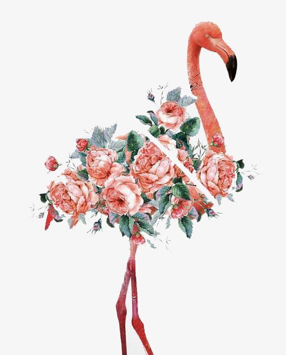 Watercolor Flamingo PNG, Clipart, Bird, Bird Illustration, Birds, Deductible, Element Free PNG Download