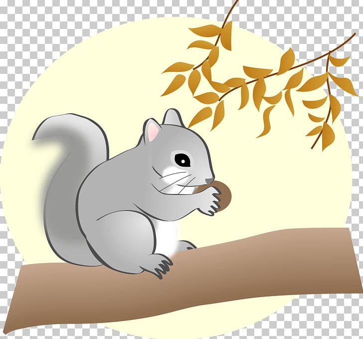 Cat Squirrel Mouse Rodent Rat PNG, Clipart, Animal, Animals, Carnivora, Carnivoran, Cartoon Free PNG Download