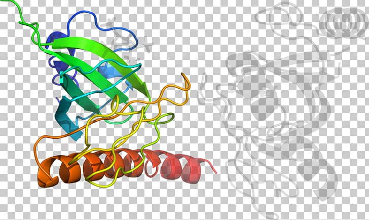 Graphic Design PNG, Clipart, Art, Artwork, Bovine Pancreatic Ribonuclease, Food, Graphic Design Free PNG Download