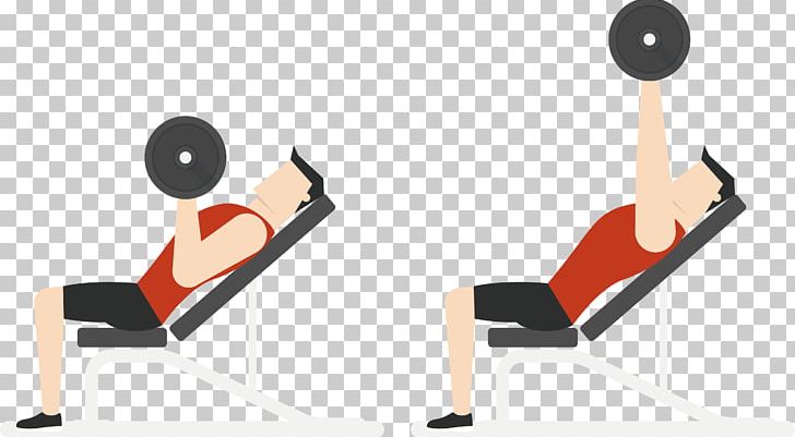 Physical Exercise Euclidean Physical Fitness Barbell Bench Press PNG, Clipart, Angle, Barbell Vector, Bench, Bodybuilding, Chair Free PNG Download