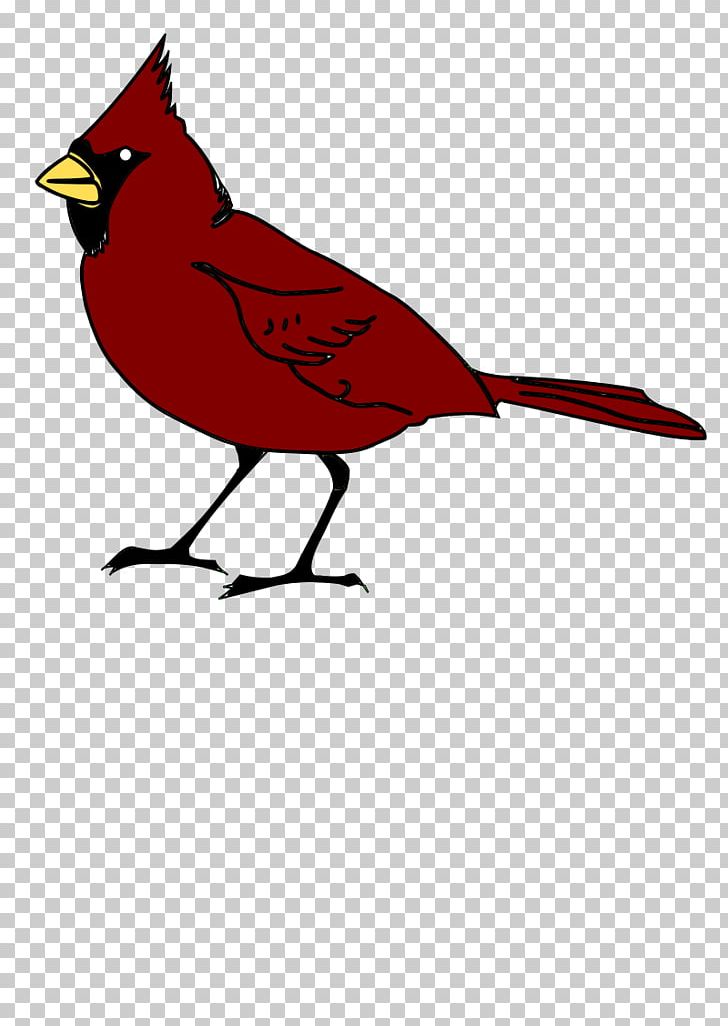 St. Louis Cardinals PNG, Clipart, Animals, Art, Artwork, Beak, Bird Free PNG Download