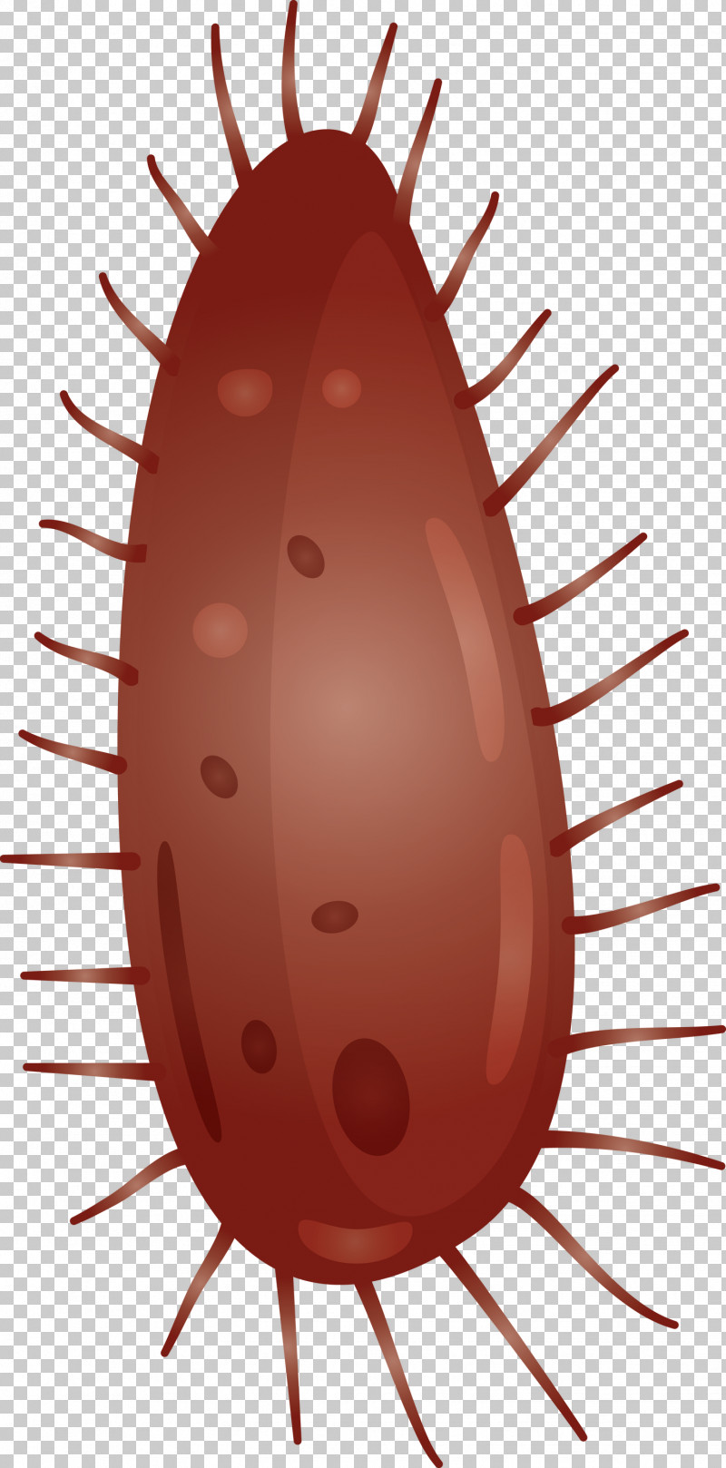 Virus PNG, Clipart, Cockroach, Insect, Pest, Virus Free PNG Download