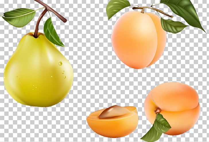 Apricot Fruit Food PNG, Clipart, Apple, Apricot, Apricot Blossom Vector, Apricot Blossom Yellow, Apricot Flower Free PNG Download