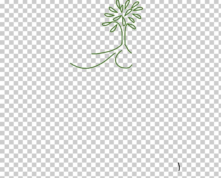 Plant Stem Leaf Flowering Plant PNG, Clipart, Area, Branch, Flora, Flower, Flowering Plant Free PNG Download