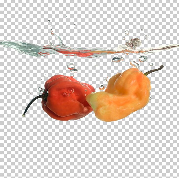 Chili Pepper Bell Pepper Drop PNG, Clipart, Asia Map, Auglis, Bell Peppers And Chili Peppers, Black Pepper, Capsicum Free PNG Download
