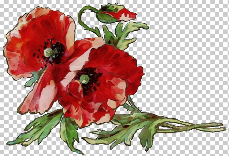 Floral Design PNG, Clipart, Anemone, Annual Plant, Biology, Cut Flowers, Floral Design Free PNG Download