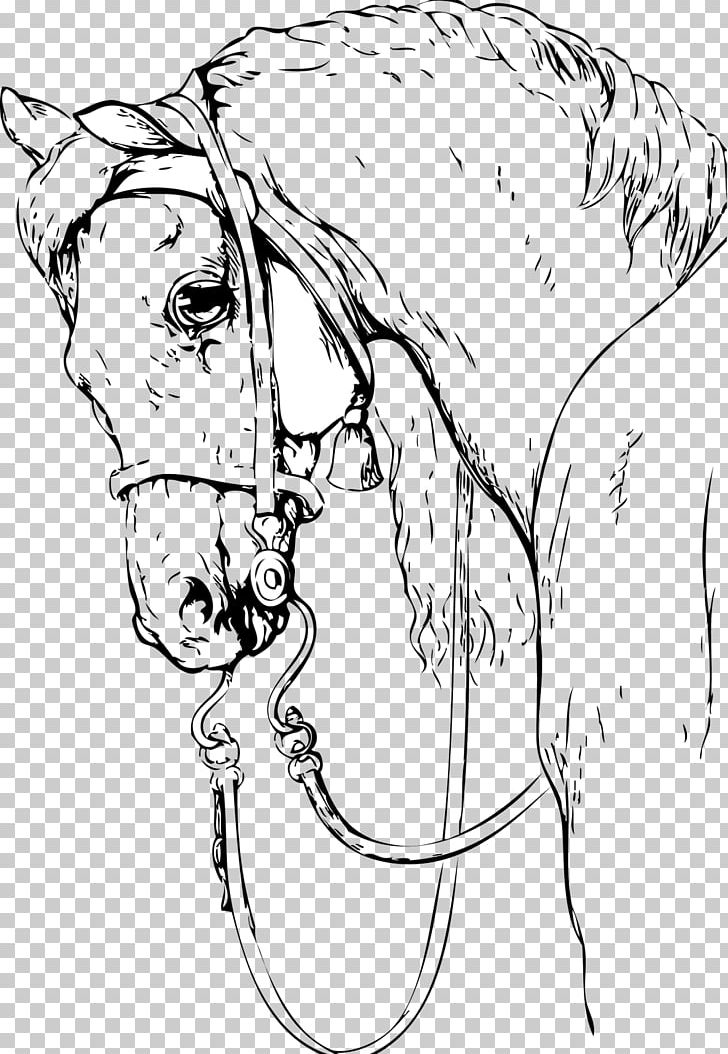 Drawing Painting Horse Black And White PNG, Clipart, Arm, Art, Artist, Artwork, Deviantart Free PNG Download