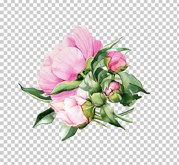 Garden Roses Watercolor Painting Flower PNG, Clipart, Birdandflower Painting, Color, Cut Flowers, Digital Image, Drawing Free PNG Download