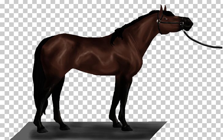 Mustang Stallion Mare Rein Pony PNG, Clipart, Bridle, Dog Harness, Emery, Halter, Horse Free PNG Download