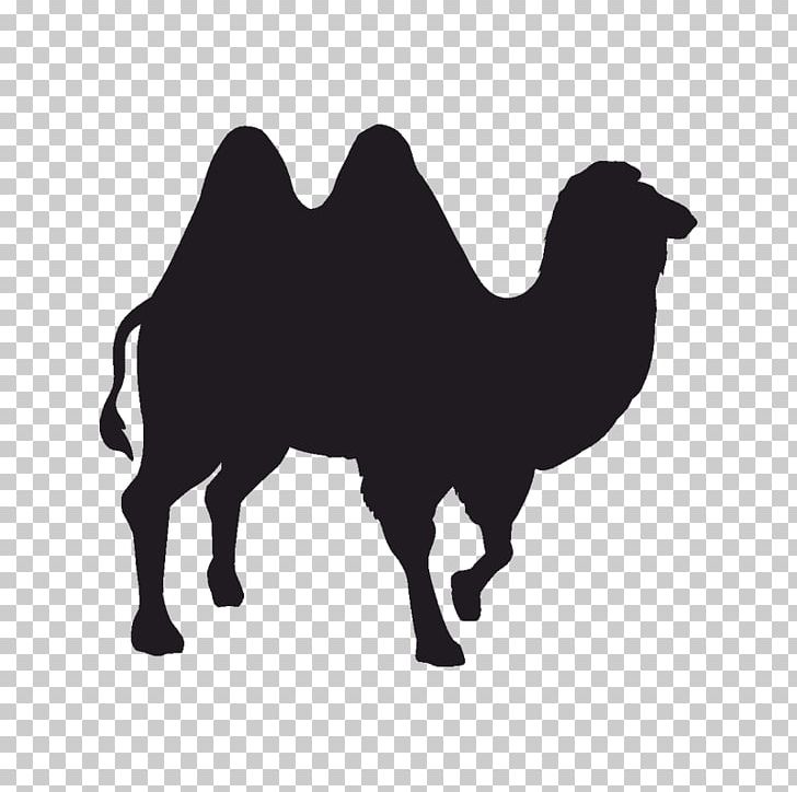Silhouette Camel Black And White PNG, Clipart, Animals, Black And White, Camel, Camel Like Mammal, Depositphotos Free PNG Download