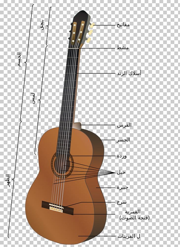 Acoustic Guitar Electric Guitar String Classical Guitar PNG, Clipart, Acoustic Electric Guitar, Classical Guitar, Cuatro, Guitar Accessory, Guitarist Free PNG Download