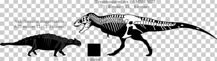 Ankylosaurus Triceratops Euoplocephalus Dinosaur Hell Creek Formation PNG, Clipart, Ankylosauria, Ankylosauridae, Ankylosaurus, Black And White, Carnivoran Free PNG Download