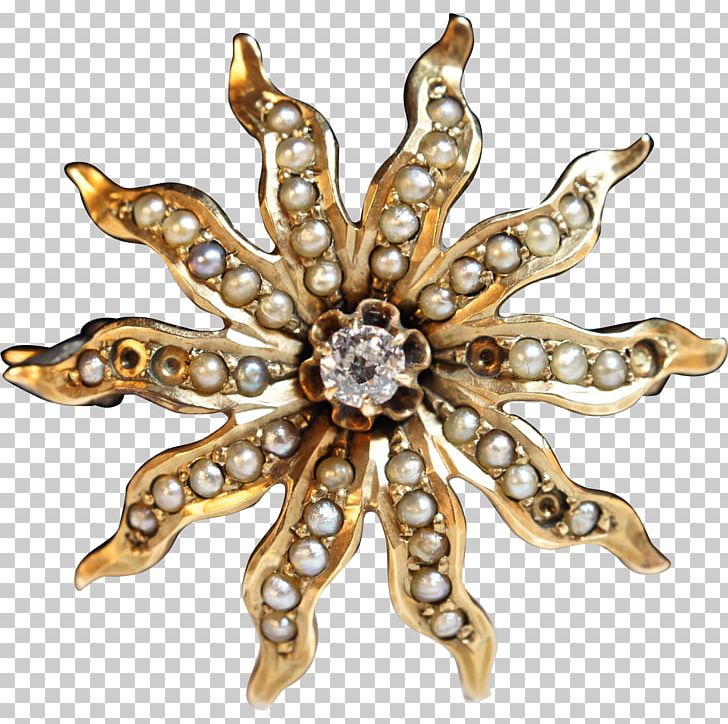 Body Jewellery Brooch Clothing Accessories Spider Flower PNG, Clipart, Body Jewellery, Body Jewelry, Brooch, Clothing Accessories, Fashion Free PNG Download
