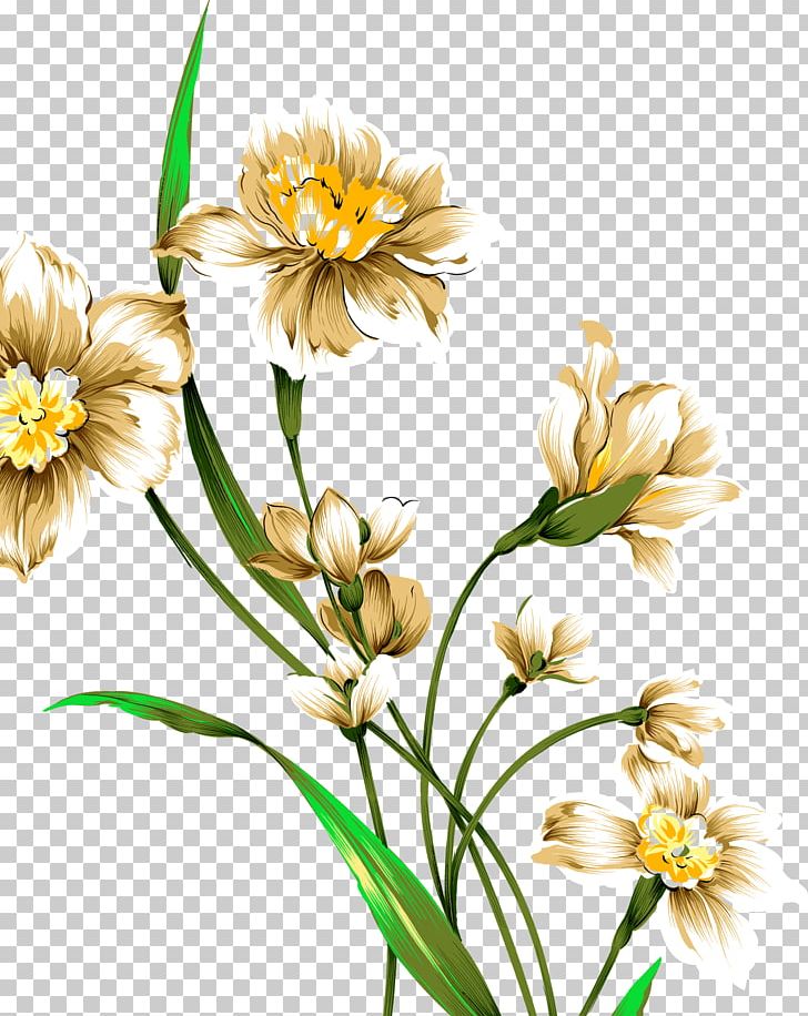 Narcissus Tazetta Drawing Watercolor Painting PNG, Clipart, Botanical Illustration, Continental, Daffodil, Dahlia, Daisy Family Free PNG Download