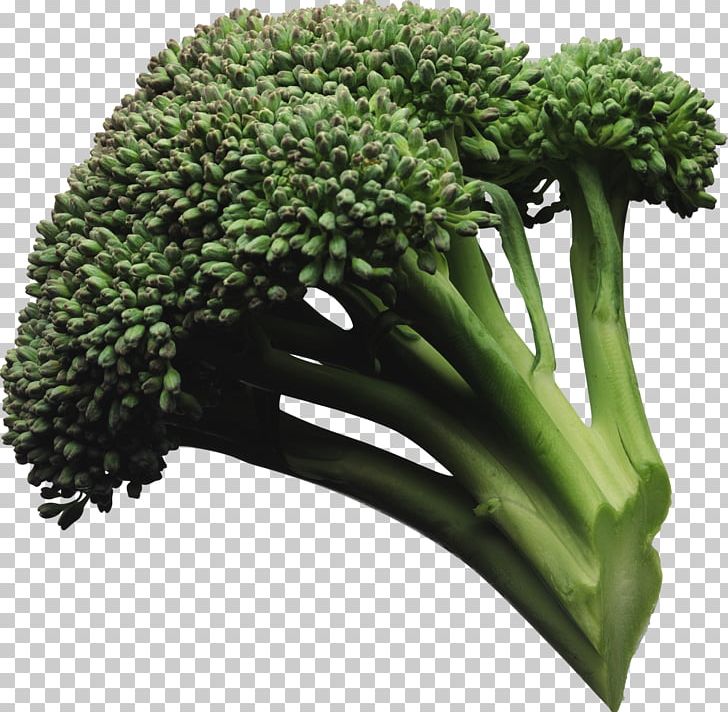 Broccoli Slaw Vegetable Food Salad PNG, Clipart, Beetroot, Brassica Oleracea, Broccoli, Broccoli Slaw, Brocoli Free PNG Download