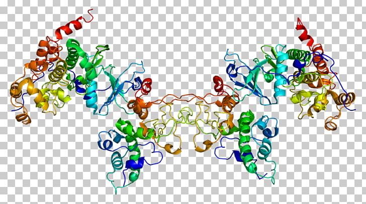 Casein Kinase 2 PNG, Clipart, Art, Casein, Casein Kinase 1, Casein Kinase 2, Casein Kinase 2 Alpha 1 Free PNG Download