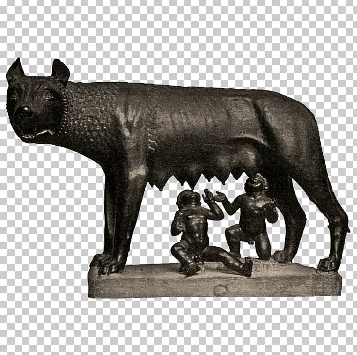 Romulus Remus Wolf PNG, Clipart, Rome, World Landmarks Free PNG Download