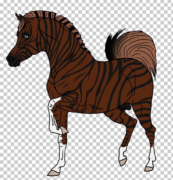 Mustang Stallion Rein Mare Horse Harnesses PNG, Clipart,  Free PNG Download