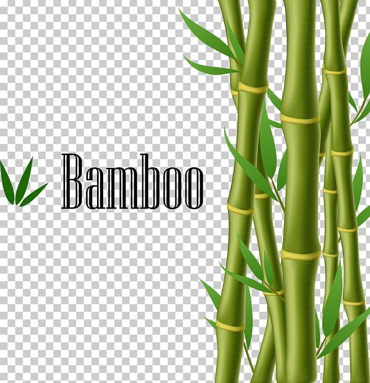 Bamboo Illustration PNG, Clipart, Background Green, Bamboo, Bamboo Vector, Encapsulated Postscript, Grass Free PNG Download