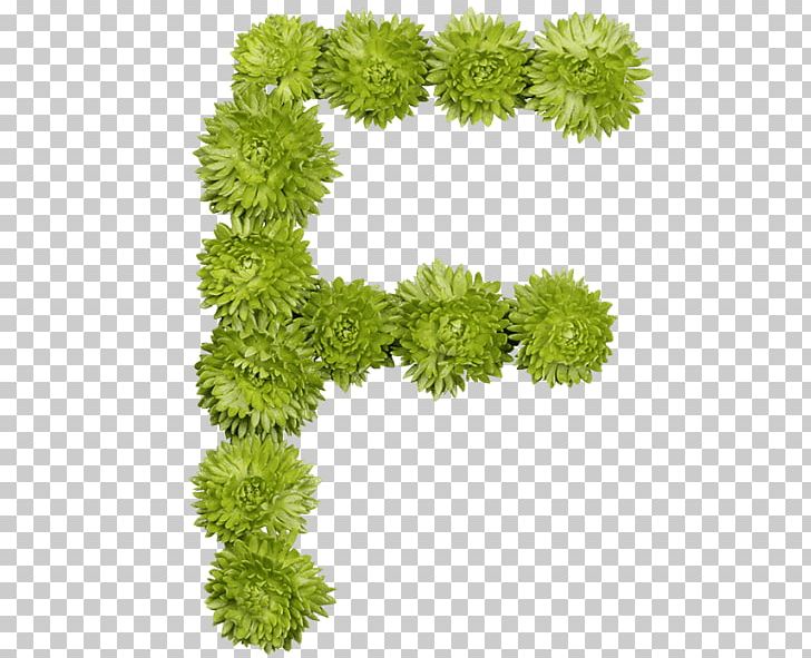 Flower Letter Floral Design Alphabet Font PNG, Clipart, Alphabet, Creativity, Designer, Floral Design, Flower Free PNG Download