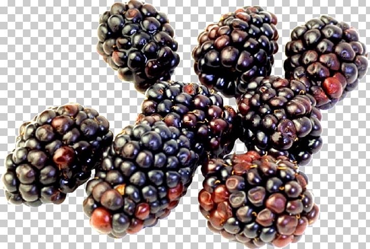 Longman Dictionary Of Contemporary English Blackberry Food Rubus Laciniatus PNG, Clipart, Berry, Blueberry, Dictionary, Food, Fruit Free PNG Download