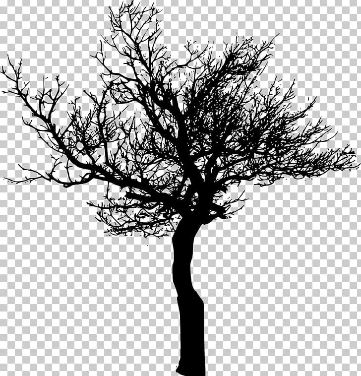 Tree Branch Desktop PNG, Clipart, Black And White, Branch, Desktop Wallpaper, Display Resolution, Leaf Free PNG Download