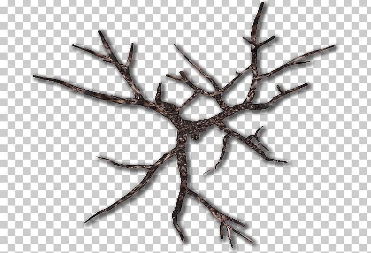 Wood /m/083vt PNG, Clipart, Branch, M083vt, Nature, Tree, Twig Free PNG Download