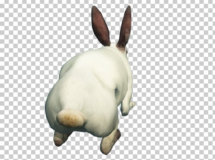 Domestic Rabbit Hare Computer Icons PNG, Clipart, Animal, Animals, Clipart, Computer Icons, Dog Free PNG Download